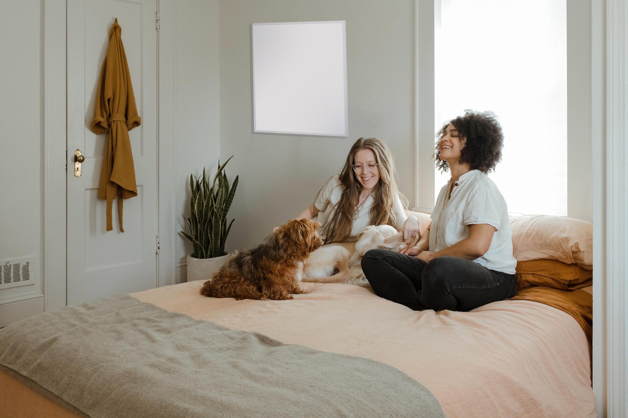 Keeping your Furry Little Friends Warm - Infrared Heaters for Pets