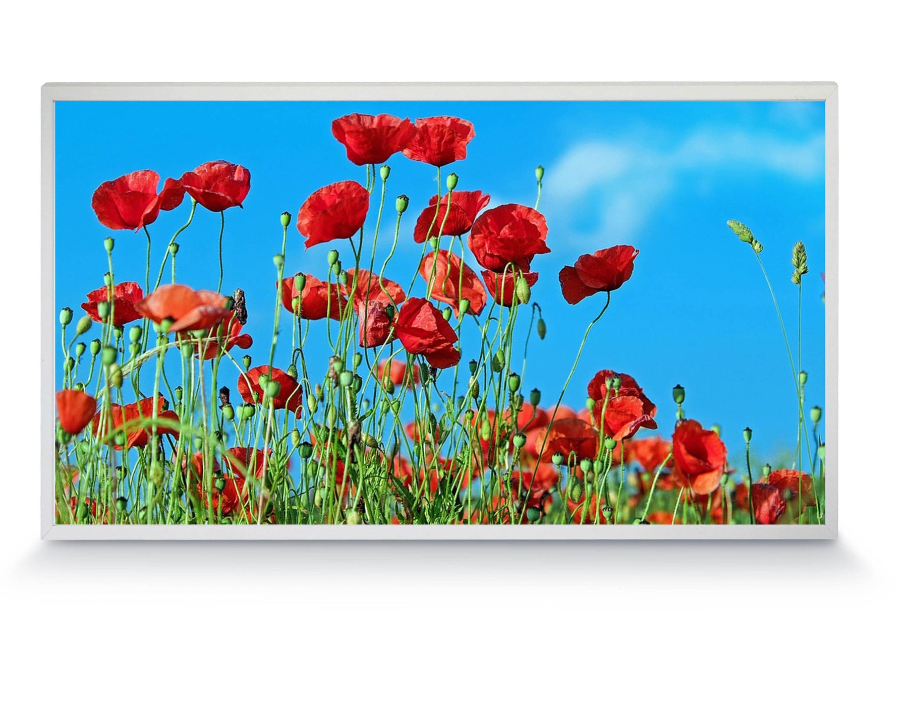 720W Custom Image - Smart Wi-Fi Infrared Heating Panel- 120 x 60cm
