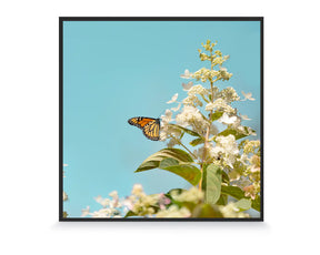 350w Picture IR Panel - Butterfly - 60cm x 60cm