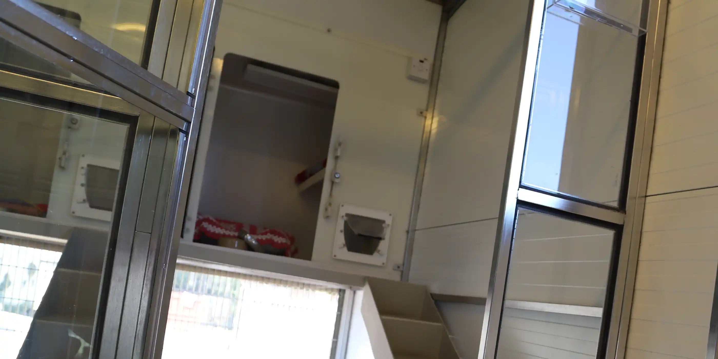Cattery unit with glass doors and a ceiling-mounted KIASA infrared panel, showcasing a clean, modern rescue space with safe heating for animals.