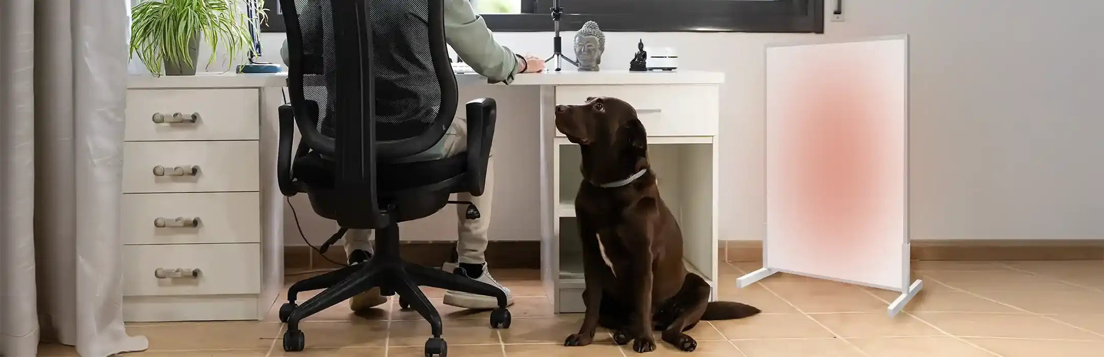 Person sitting at a desk with a dog on the floor next to a space heater.