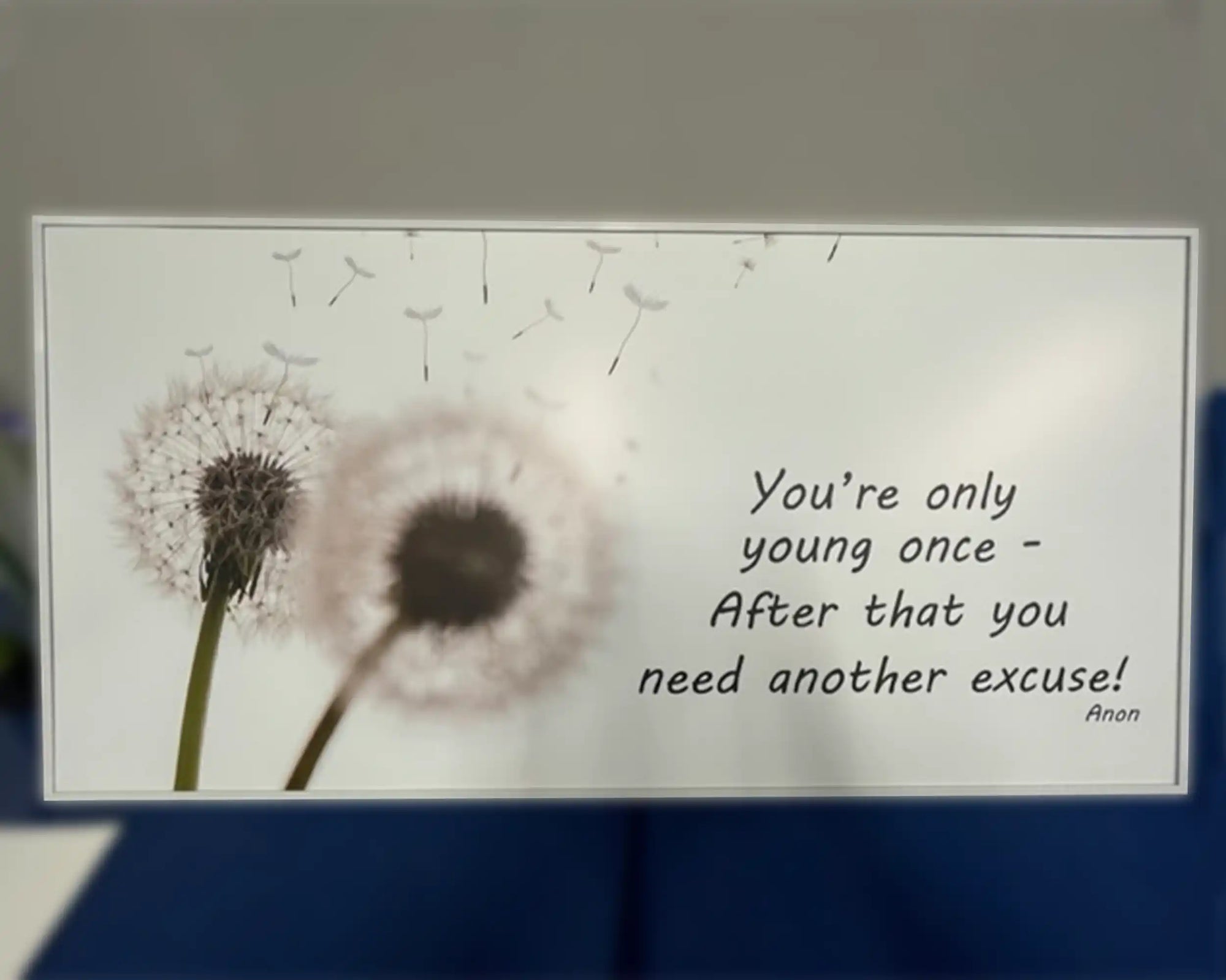 Custom Panel of Quote and Daffodils - You're only young once - After that you need another excuse!