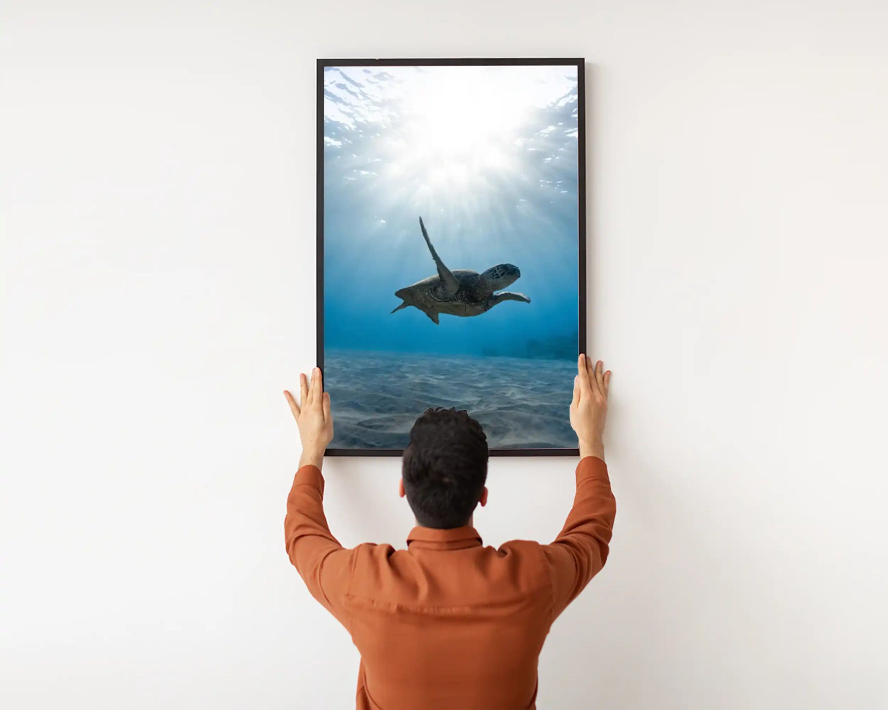 Smart 500w Picture IR Panel - Turtle - 80cm x 60cm