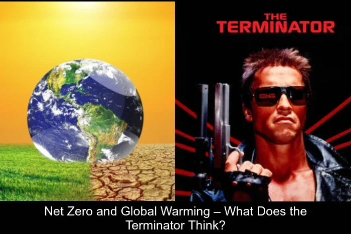 Net Zero and Global Warming – What Does the Terminator Think?