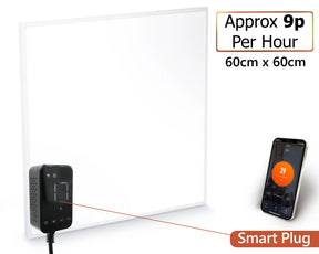350W Wall Mounted Infrared Heating Panel - 60cm x 60cm
