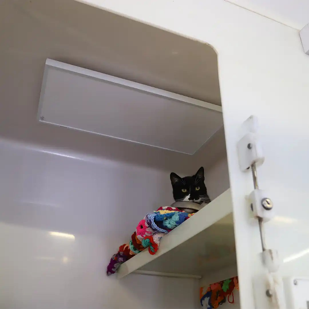 Black and white cat resting on a shelf under a ceiling-mounted KIASA 180W infrared panel inside a white cattery pen at an animal rescue centre.

