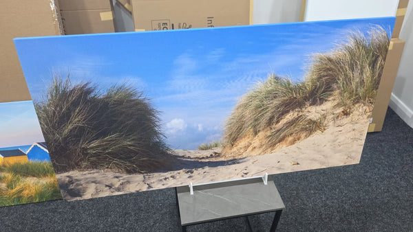 Coastal Dunes