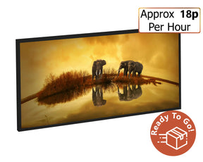 Large screen displaying two elephants by a waterhole with text and icon indicating pricing and availability.