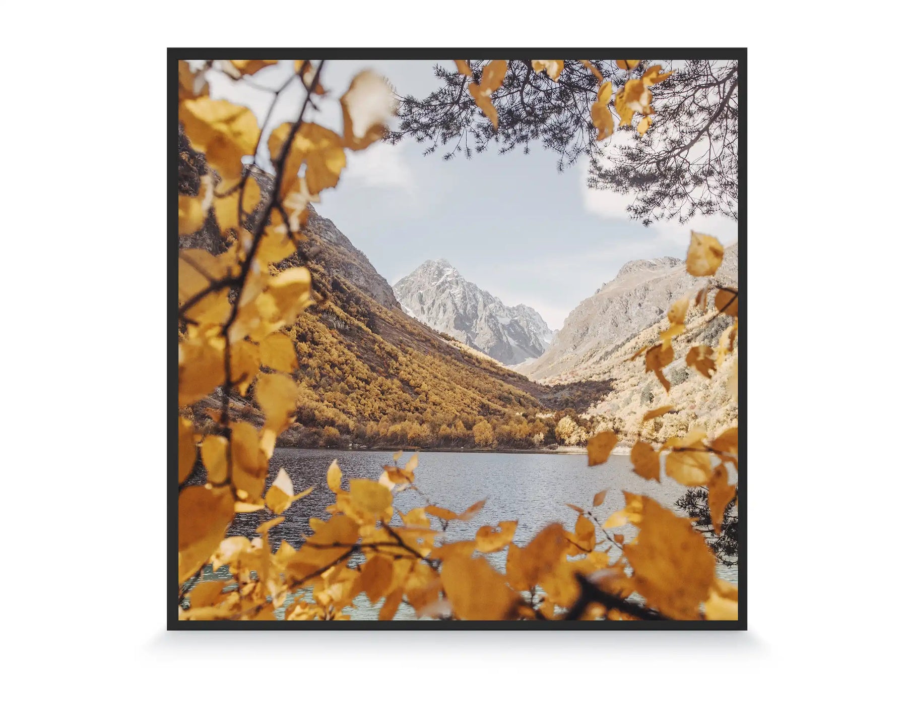 350w Picture IR Panel - Autumn Leaves - 60cm x 60cm