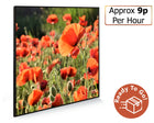 Picture Infrared Heating Panel