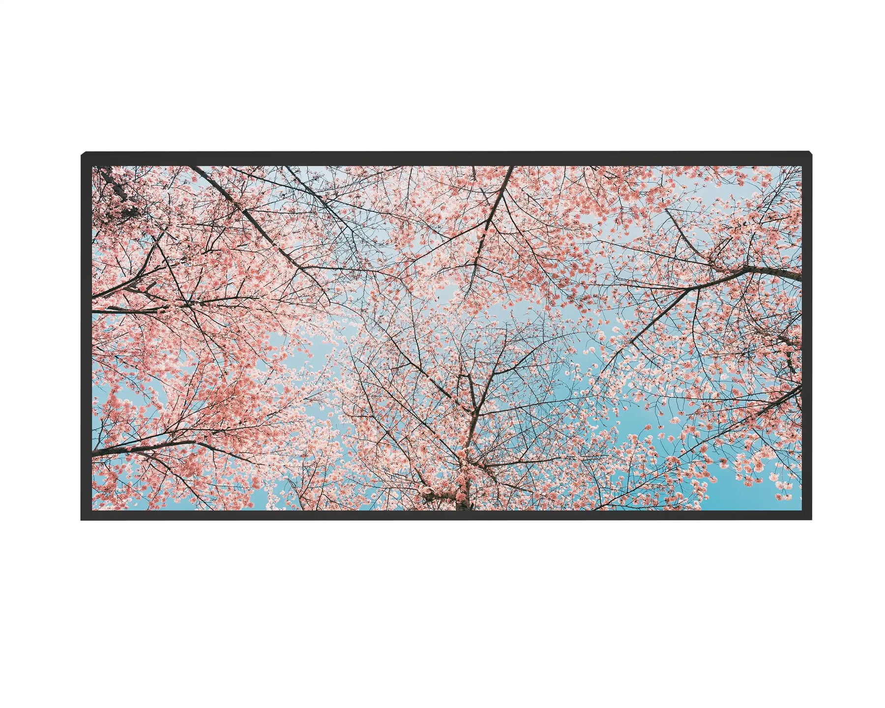 600w Picture IR Panel - Blossom Trees