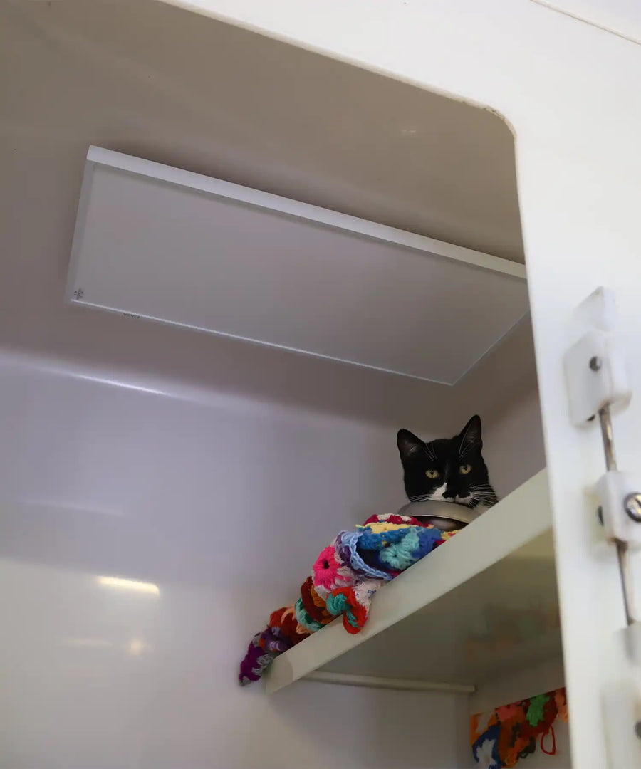 Black and white cat resting on a colourful blanket under a KIASA 180W infrared panel, mounted on the ceiling of a cattery sleeping pod.

