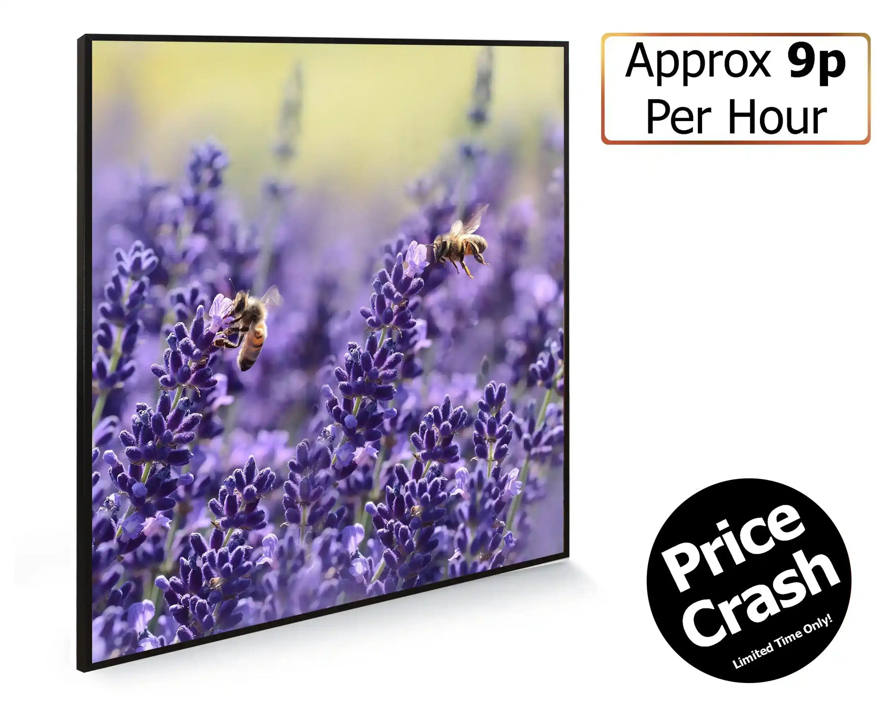 350w Picture IR Panel - Lavender Fields - 60cm x 60cm