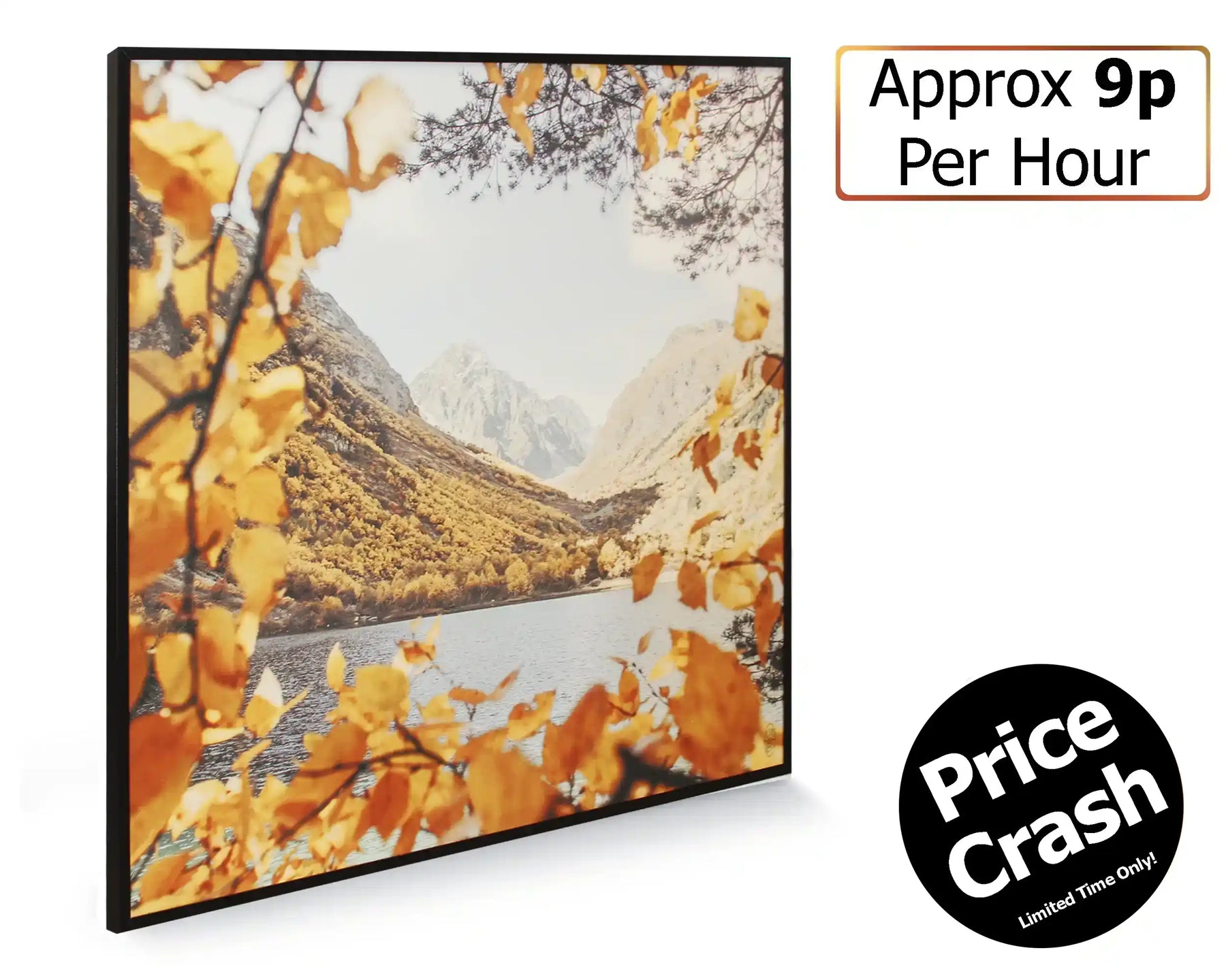 350w Picture IR Panel - Autumn Leaves - 60cm x 60cm