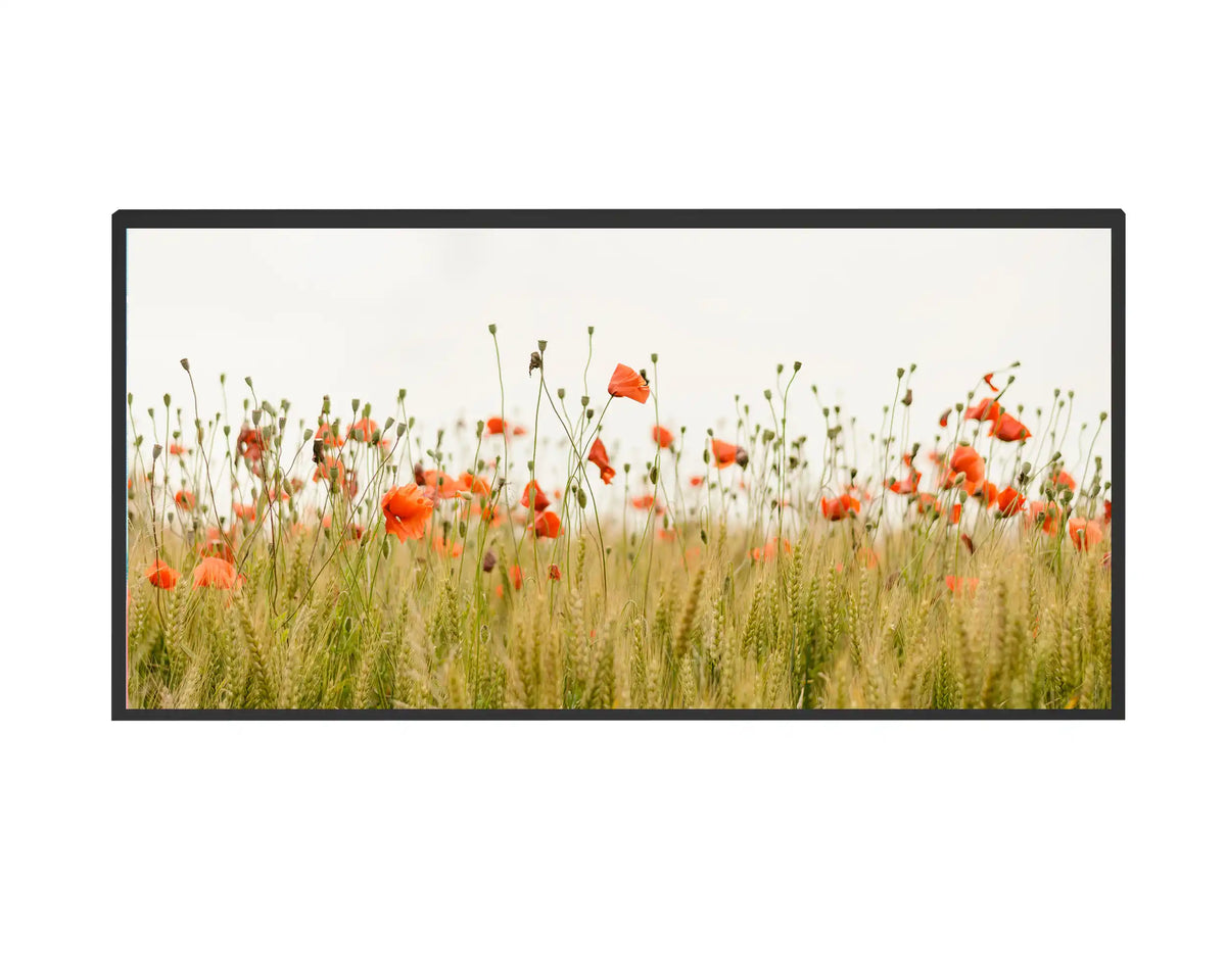 750w Picture IR Panel - Poppies - 120cm x 60cm