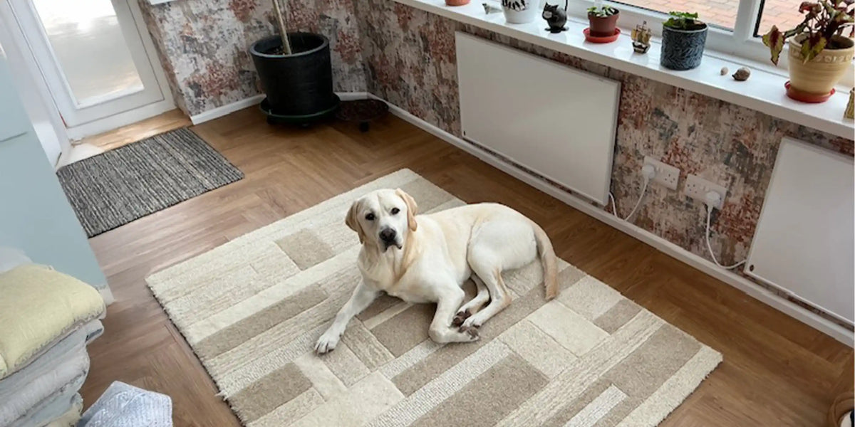 Happy puppies relaxing at home with pet-safe Kiasa infrared heater