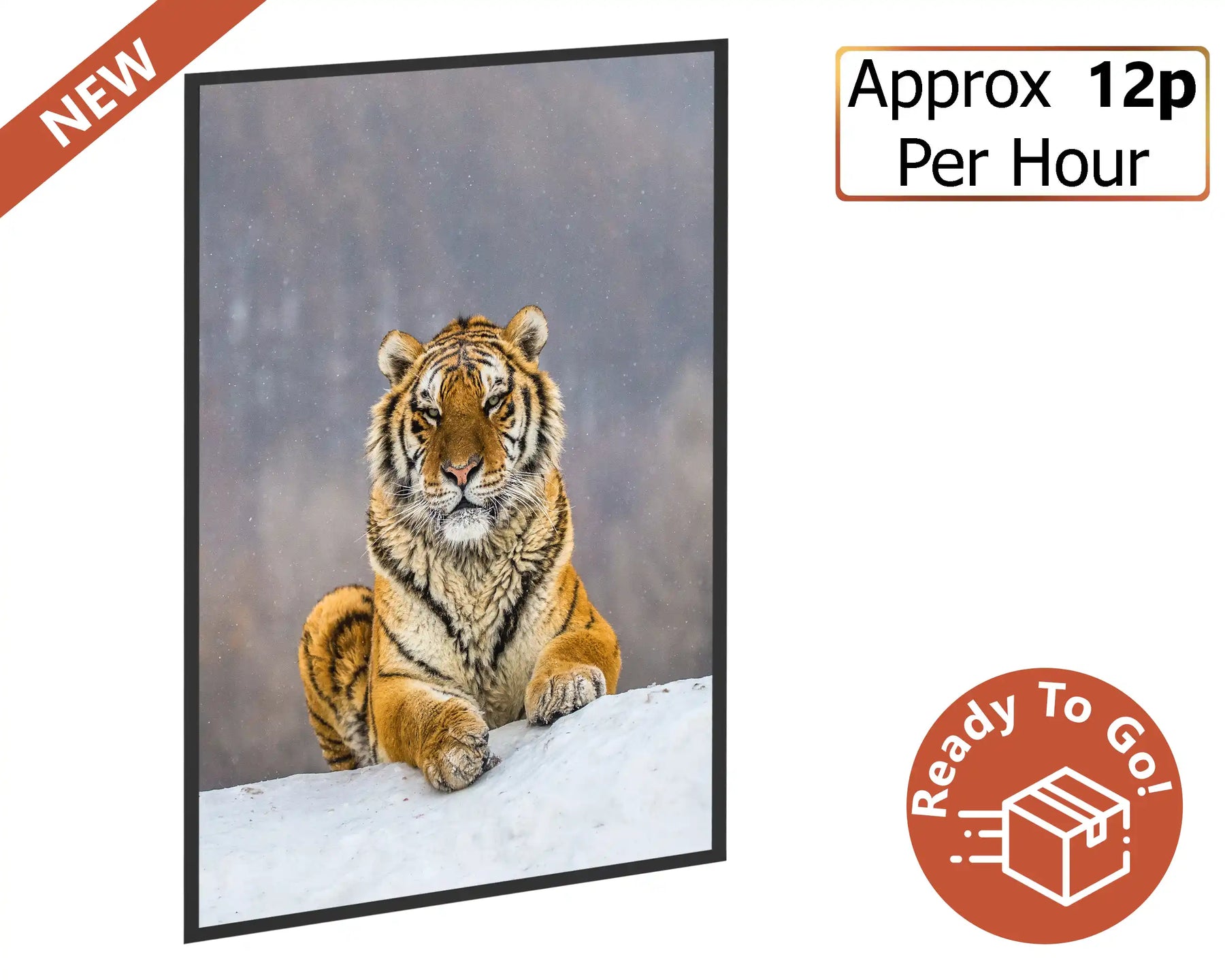 500w Picture IR Panel - Tiger - 80cm x 60cm