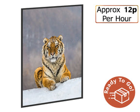 Smart 500w Picture IR Panel - Tiger - 80cm x 60cm
