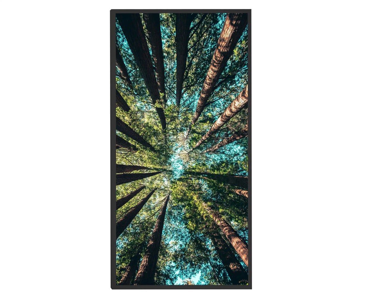 750w Picture IR Panel - Trees - 120cm x 60cm