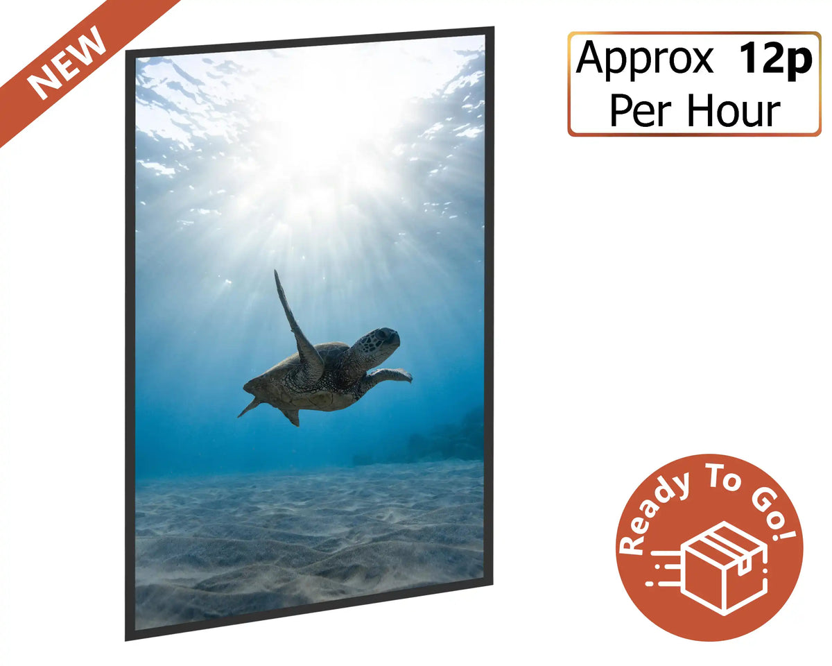 Smart 500w Picture IR Panel - Turtle - 80cm x 60cm