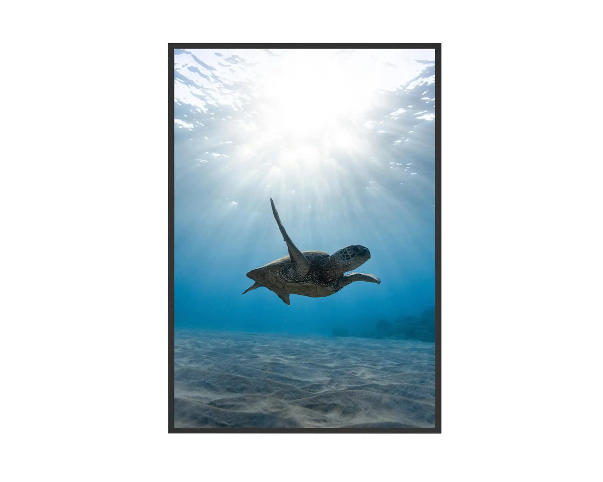 Smart 500w Picture IR Panel - Turtle - 80cm x 60cm