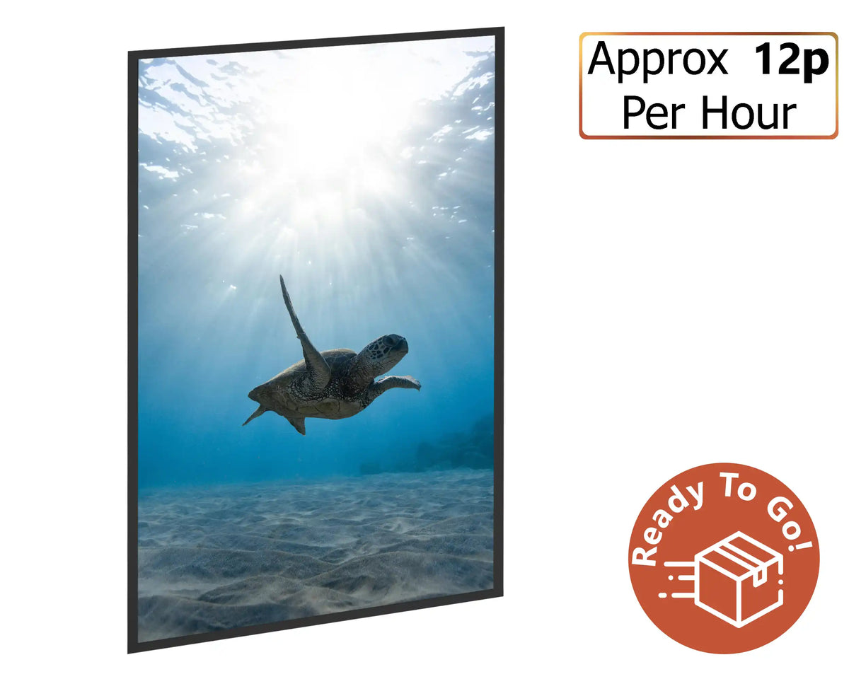 Smart 500w Picture IR Panel - Turtle - 80cm x 60cm