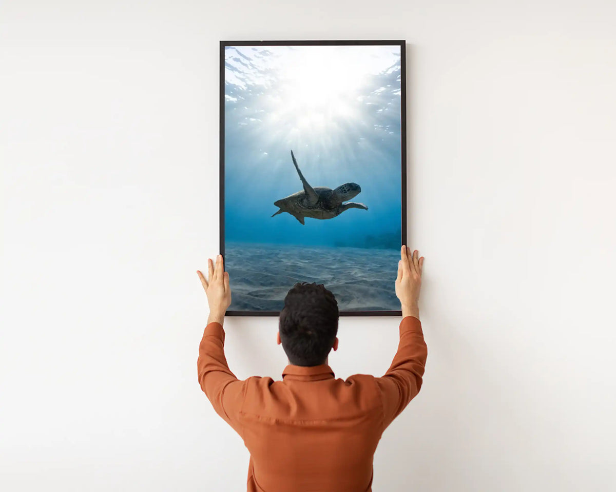 Smart 500w Picture IR Panel - Turtle - 80cm x 60cm